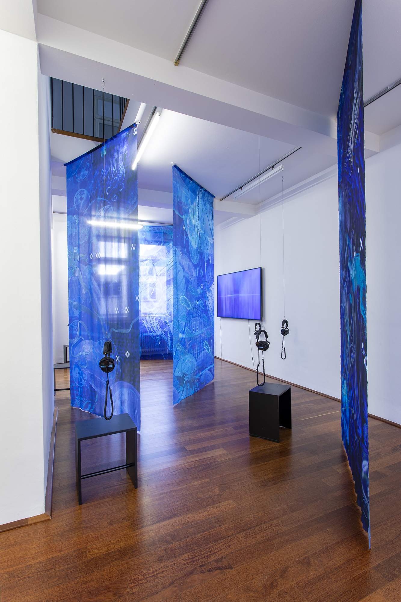 Einen Riesigen Schwarm, installation view at Rudolf-Scharpf-Galerie in Ludwigshafen, Germany