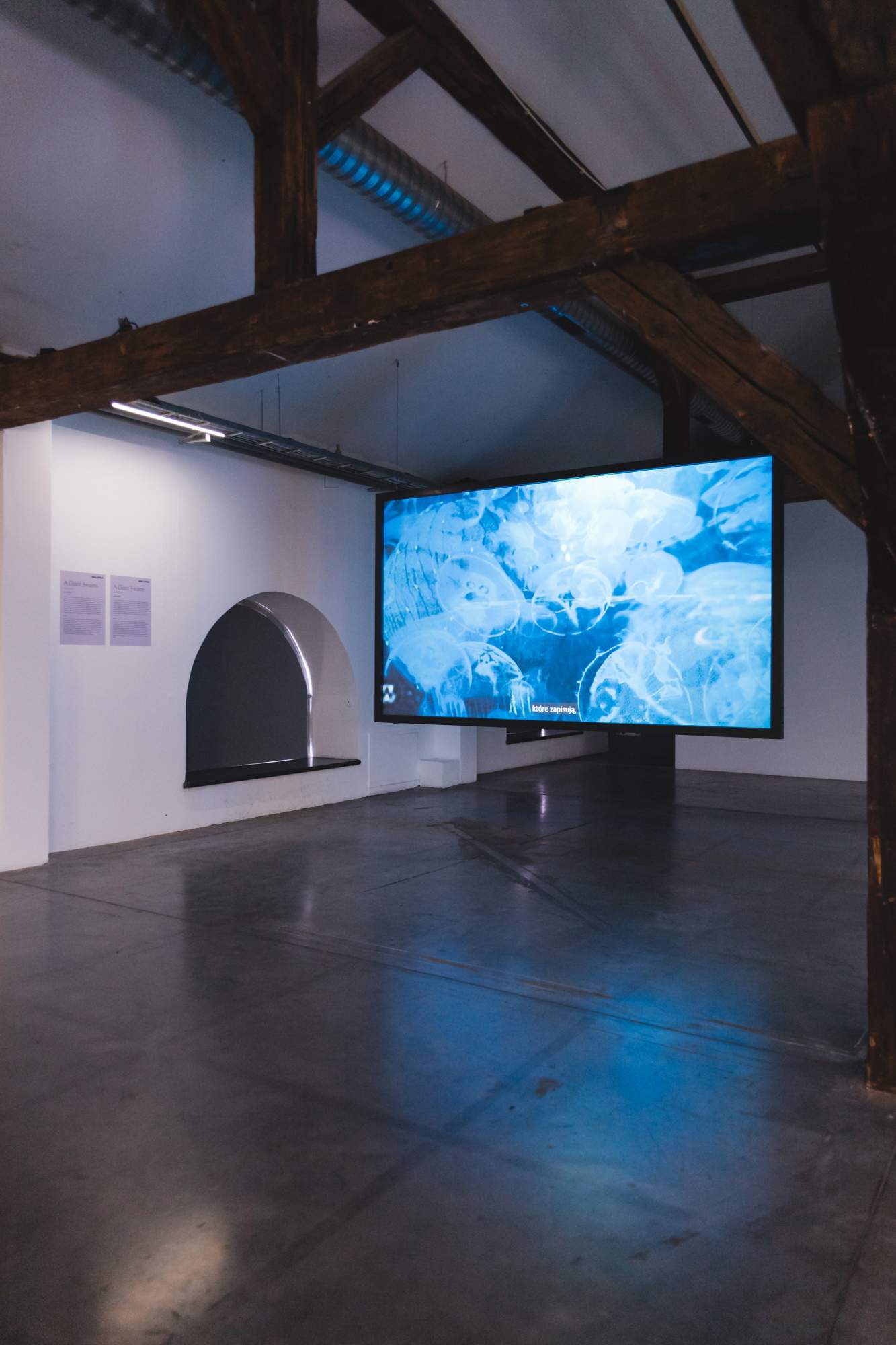 A Giant Swarm, video projection, exhibition view at Wro Art Center / Wro Biennale 2021