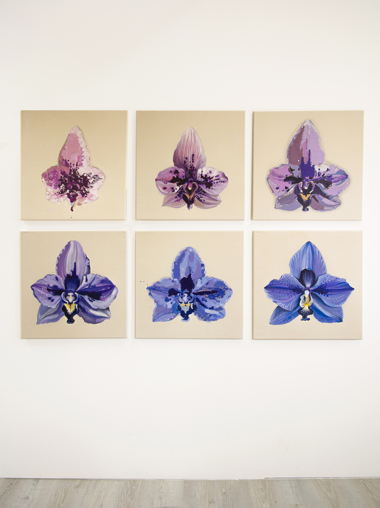 Artificial Organisms and Animate Machines 1, 2024-25