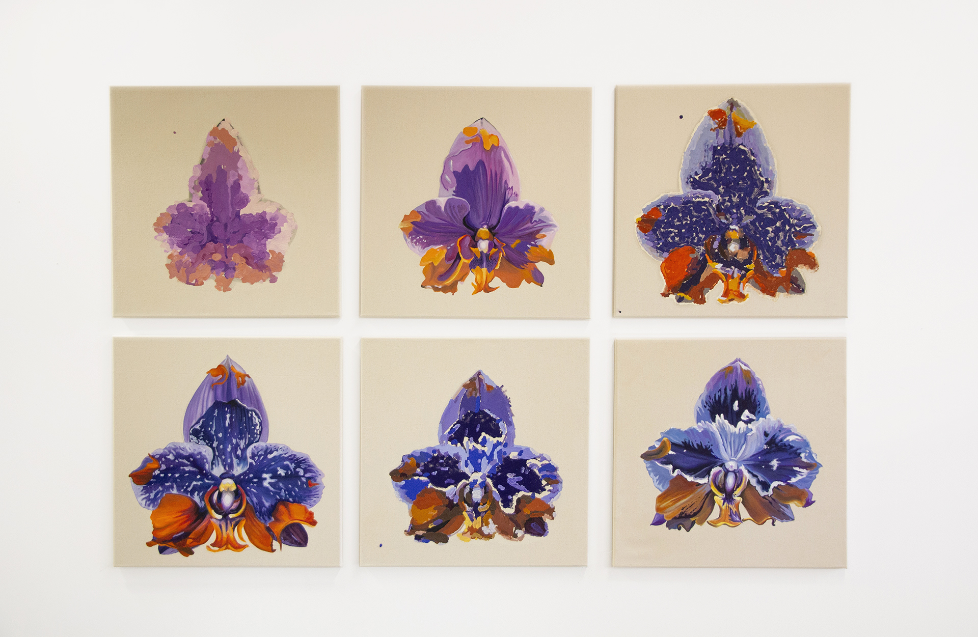 Artificial Organisms and Animate Machines 2, 2024-25