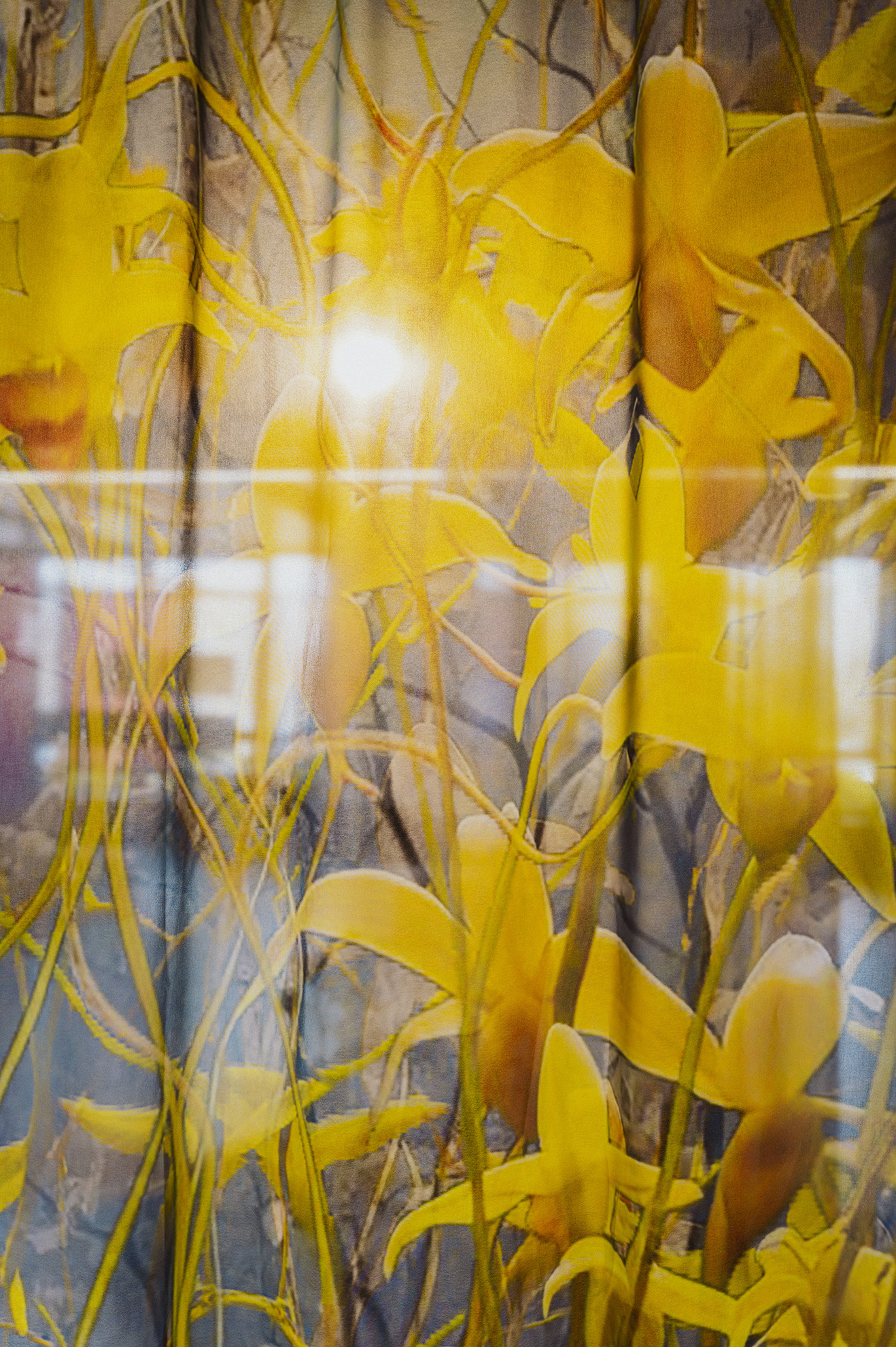 Each Trailing A Dreamworld banner by Gretta Louw