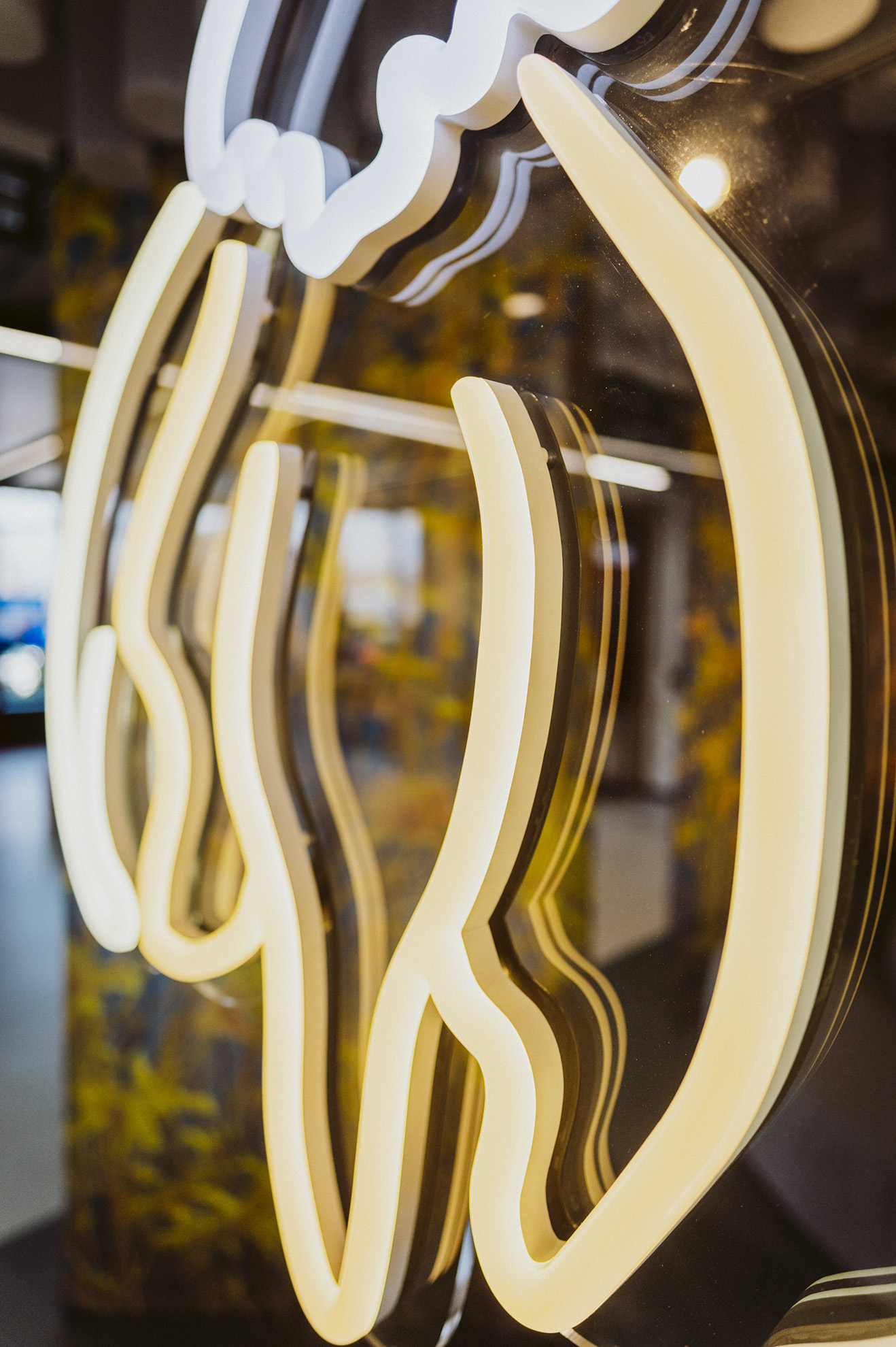 IPAI Foundation solo exhibition, photo by Nico Kurth