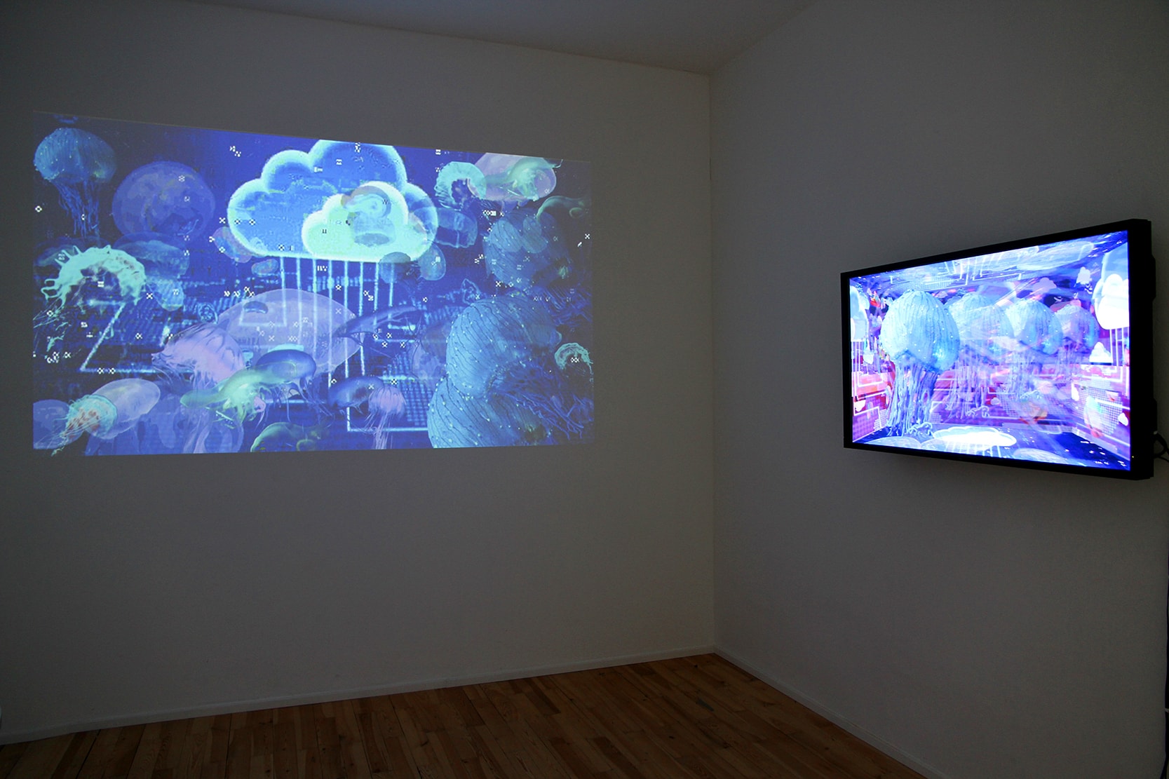 Installation view of Colonise the Cloud animations in the exhibition Einen Riesigen Schwarm, Digital Art Space Munich, 2019-2020