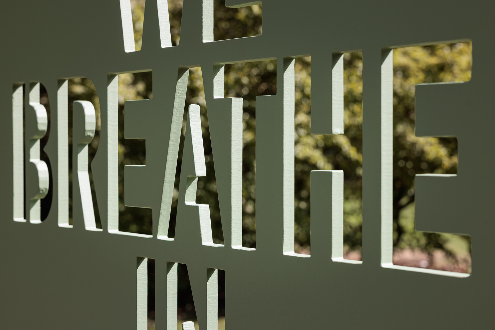 WE BREATHE IN WHEN PLANTS BREATHE OUT, permanent public sculpture, Umweltskulpturenpark, Insel Grafenwerth, Bad Honnef, 2026